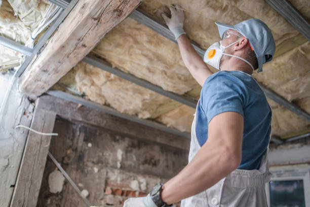 Best Insulation Maintenance and Repair in Boyceville, WI