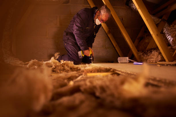 Best Commercial Insulation in Boyceville, WI